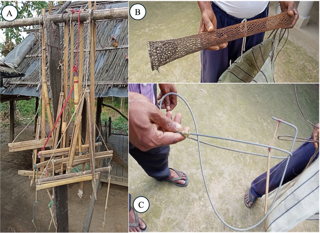 A collage of a person using a rope

AI-generated content may be incorrect.