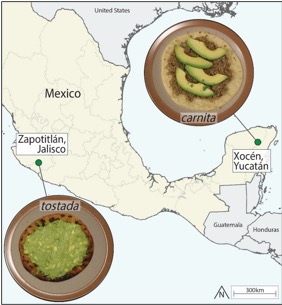 A map of Mexico highlighting two locations, Zapotitlán, Jalisco and Xocén, Yucatán. Above Xocén is an image of a plate with carnitas and slices of avocado. Below Zapotitlán is an image of a tostada with a green topping. The map also shows neighboring countries, the United States to the north and Guatemala and Honduras to the southeast.